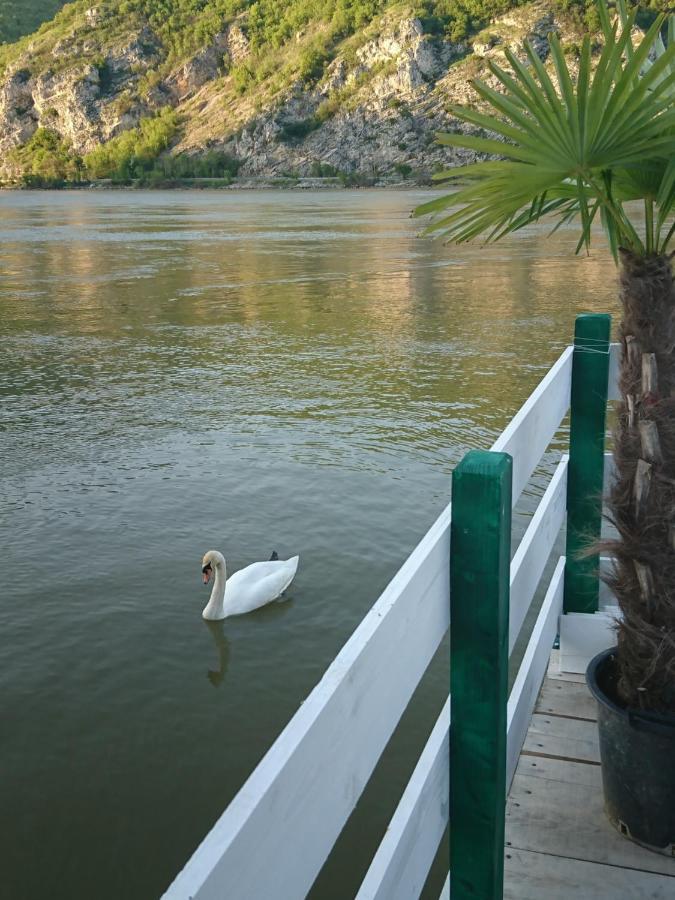 Apartman Barka Golubac Exterior photo